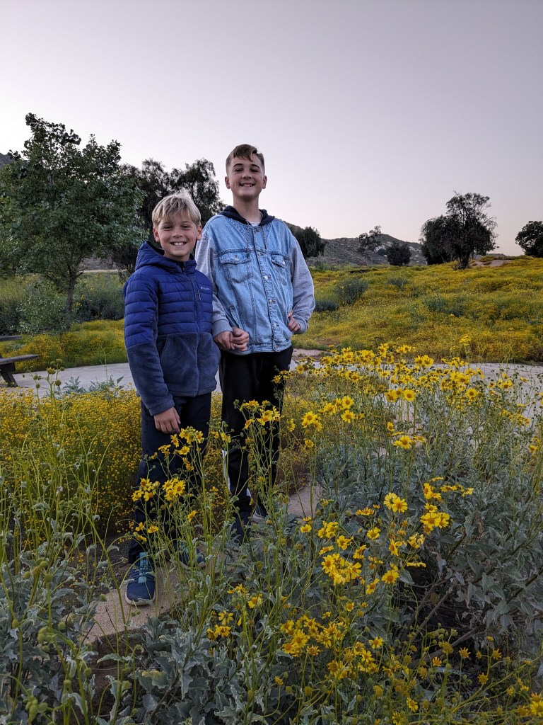 Two children in a field of flowers.